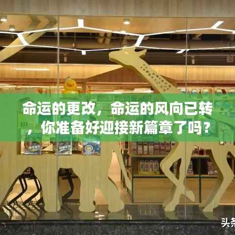 命运转折之际，迎接新篇章的准备时刻