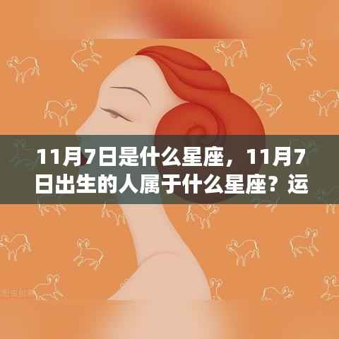 11月7日是什么星座，11月7日出生的人属于什么星座？运势解析与性格揭秘