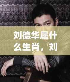 刘德华的生肖魅力与星座运势解析