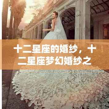 翰飞戾天 第5页