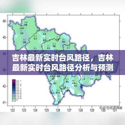 鸟为食亡 第6页