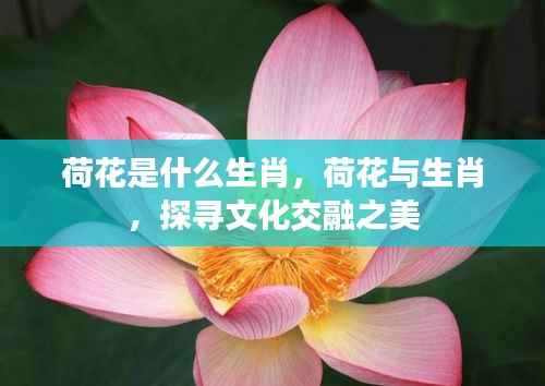 百年不遇 第6页