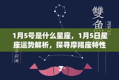 1月5日摩羯座深度探寻，星座运势与特性解析