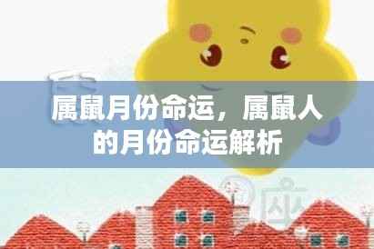 属鼠人的月份命运解析与特点总结