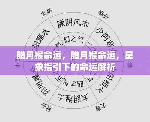 老死不相往来 第5页