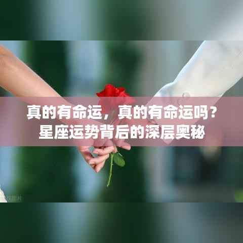 星座运势背后的深层奥秘，命运的真实存在探讨