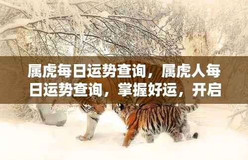 属虎人的每日运势查询，掌握好运势，迎接美好一天