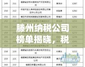 滕州纳税公司榜单揭晓，税收助力城市蓬勃发展