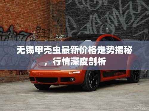 无锡甲壳虫最新价格走势揭秘，行情深度剖析