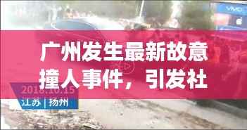 栖冲业简 第5页