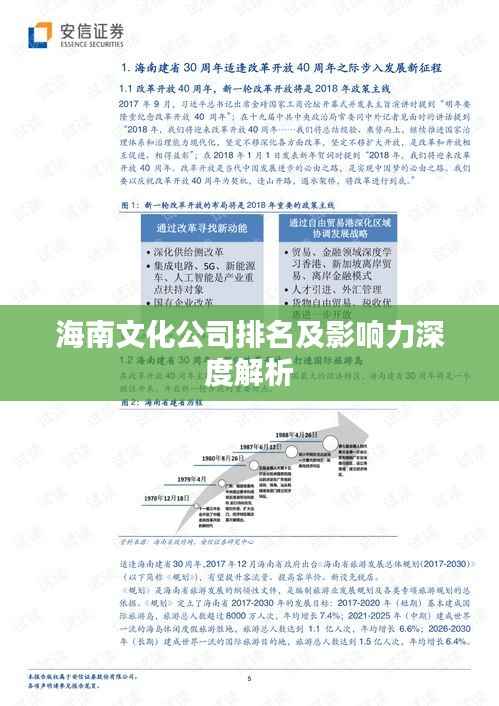 海南文化公司排名及影响力深度解析
